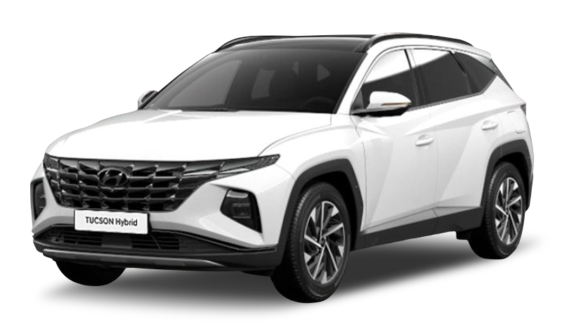 크리미 화이트 펄 익스테리어